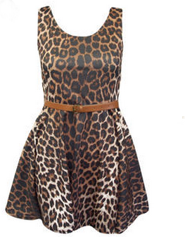 Animal Print Dress on Really Like The Skater Dress Shape That   S Around At The Moment